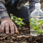 Adieu limaces et escargots : cette astuce naturelle à 0 € avec du plastique sauve jardin et potager