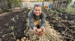 Ces 3 méthodes pour planter les pommes de terre s’adaptent à votre jardin et facilitent la culture