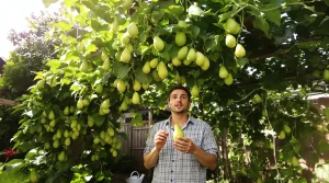 C’est la nouvelle super-plante du jardin : ceux qui la cultivent déjà assurent qu’elle vaut de l’or