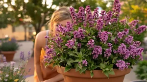 Elle pousse presque seule et parfume le jardin de vanille : la vivace à planter maintenant