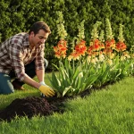Fini les monticules de terre : cette plante protège votre pelouse des taupes sans aucun effort