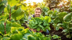 Légumes-feuilles : 7 indispensables au potager pour des assiettes riches en vitamines