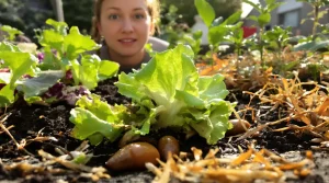 Un potager sans escargots ni limaces, c’est réellement possible : la vérité que peu de jardiniers disent
