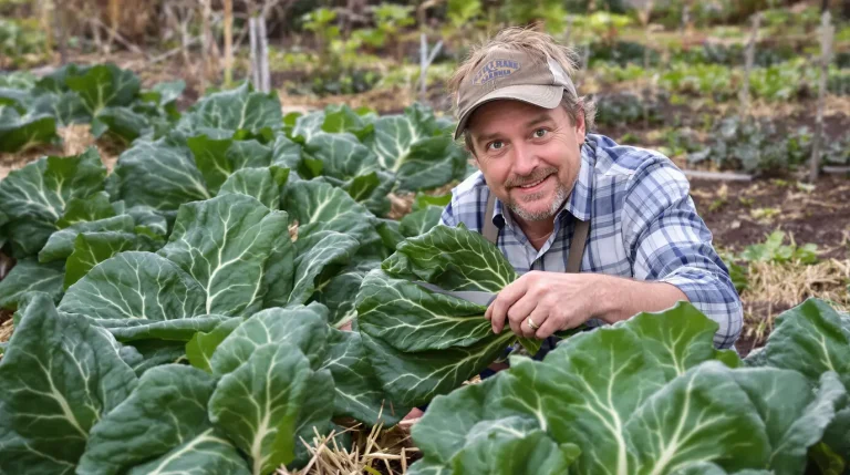 Au potager, ce légume oublié booste vos récoltes printanières, et personne n’en parle Au potager, ce légume oublié booste vos récoltes printanières, et personne n’en parle