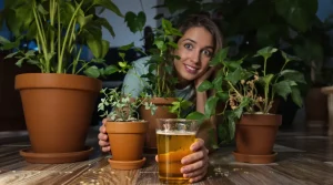 J’ai posé un simple verre près de mes plantes le soir : dès le lendemain, plus un seul moucheron chez moi