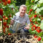 Je noyais mes tomates et fraises : avec Roma, Noire de Crimée et Mara des Bois, j’ai divisé l’arrosage par 3