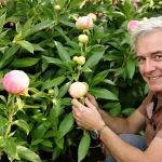 Pivoines en mai : l’astuce de taille qui booste vraiment une floraison plus généreuse