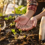 Potager : les semis de mars à ne surtout pas manquer, voici ceux à lancer maintenant au jardin