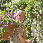 Si votre jardin grille dès les premières chaleurs, cette vivace couvre-sol sublime vos suspensions l’été