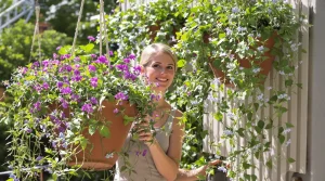 Si votre jardin grille dès les premières chaleurs, cette vivace couvre-sol sublime vos suspensions l’été