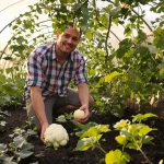 Top 8 des légumes les moins rentables à cultiver au jardin : chers, peu productifs et difficiles